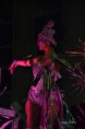 /album/carnaval-2014/a1795921-802726089742129-1527511877-o-jpg/